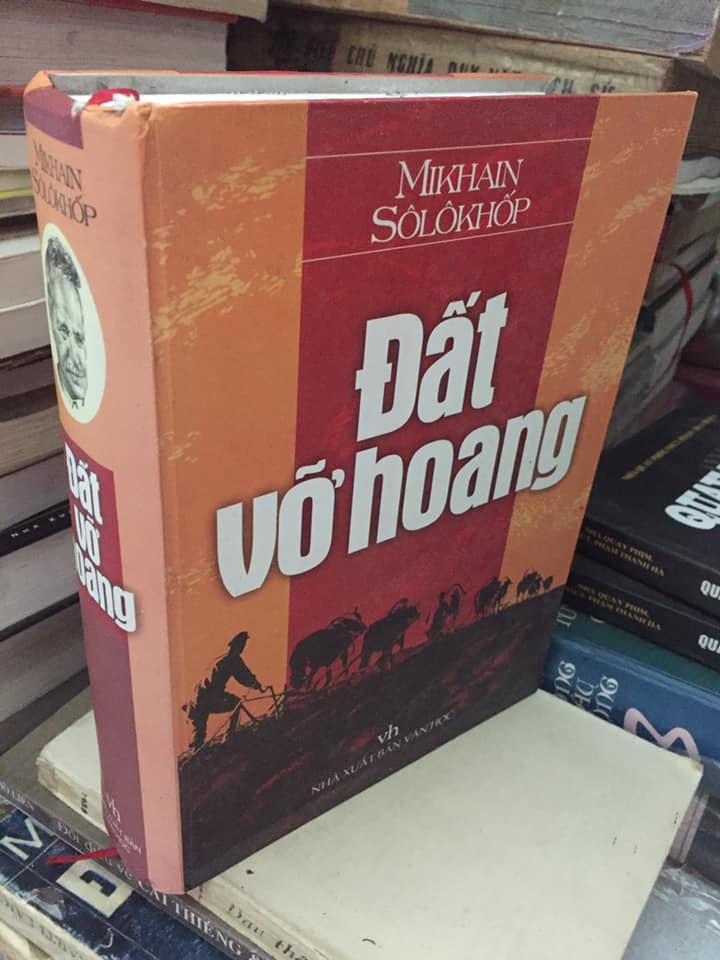 dat vo hoang 1