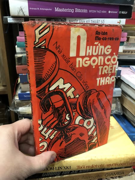 473771609_936611795228487_159485959140843191_n